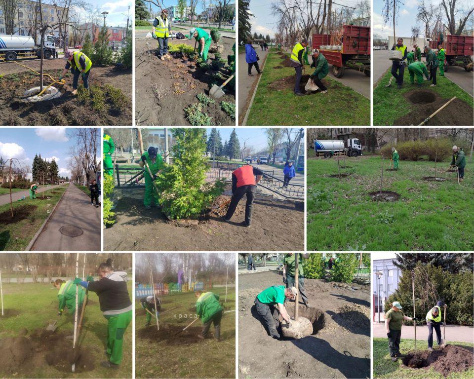 У Покровському районі розпочалась весняна висадка дерев та чагарників