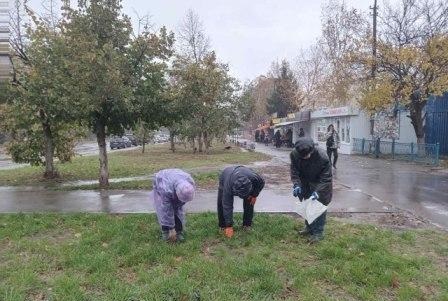 Проведені роботи з прибирання випадкового сміття