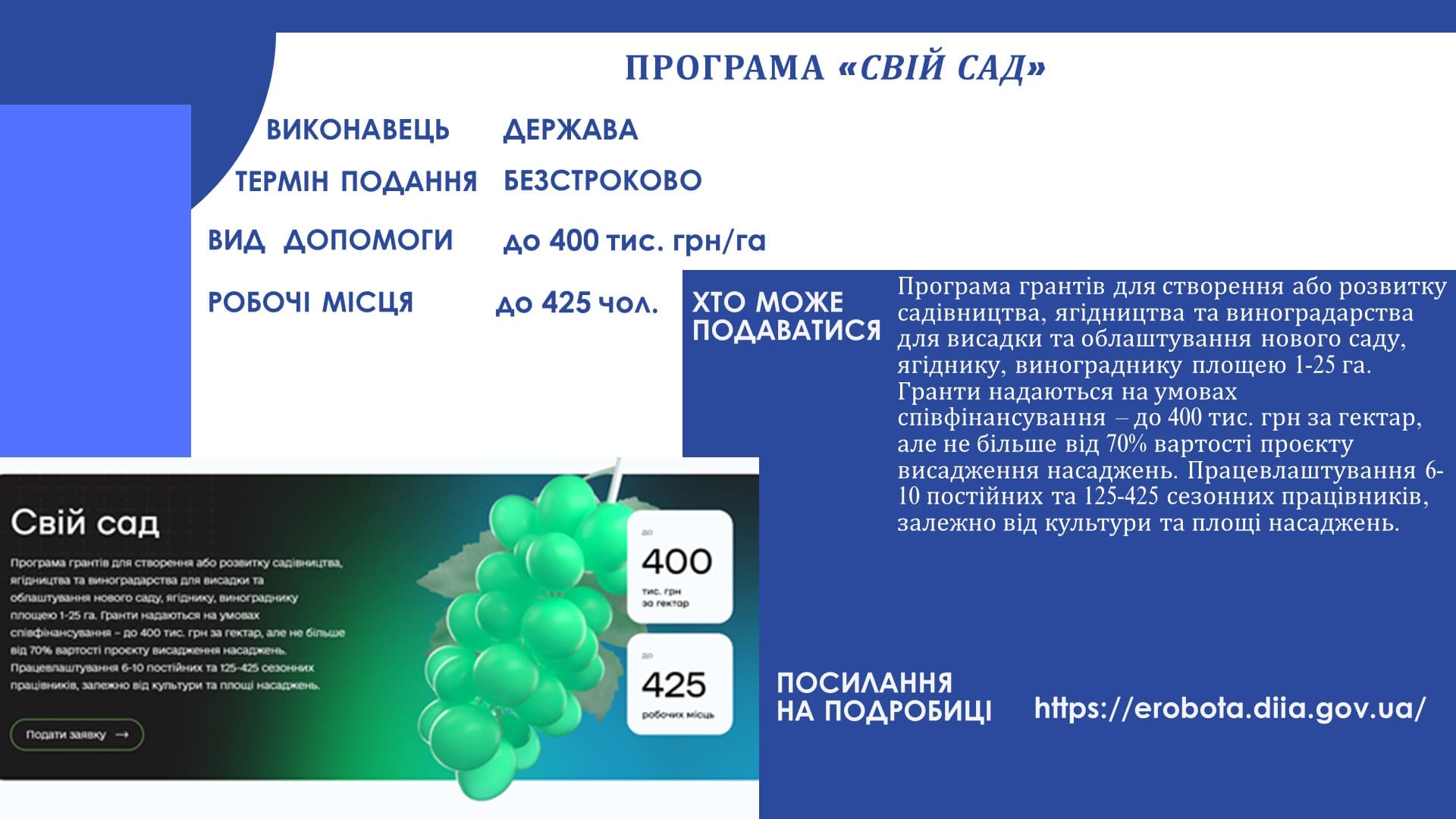 Грантові пропозиції